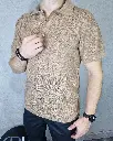 Ch19553.webp