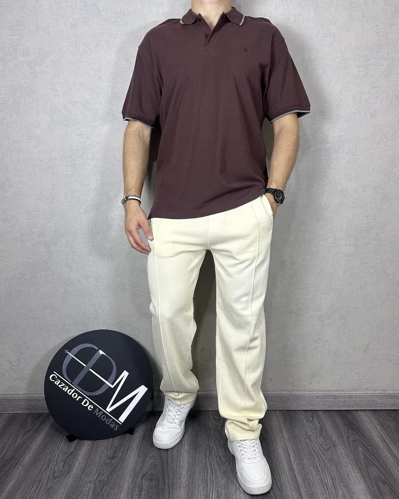 Ch7293-1.webp