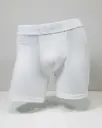 Boxer estivaneli 21358