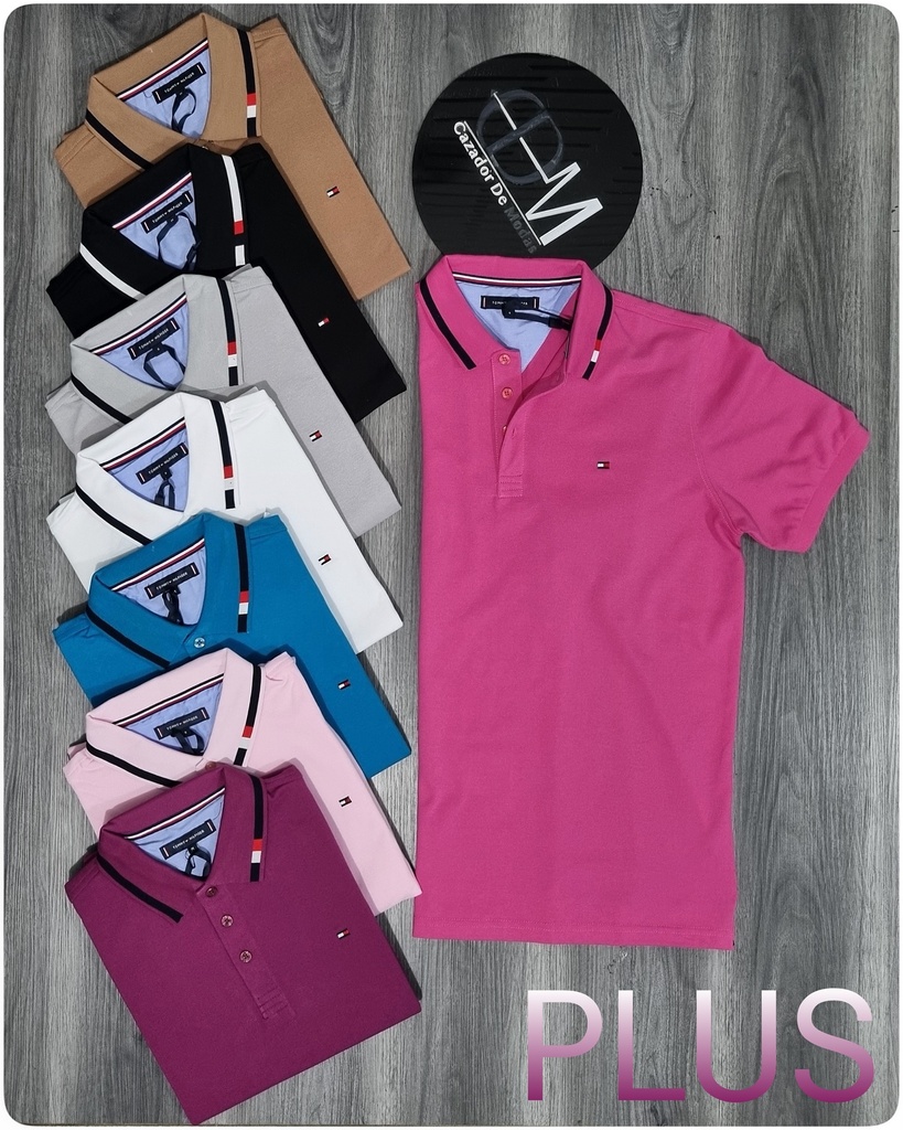 Chemise tomy plus 24011