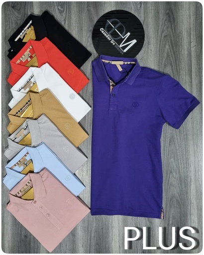 [CHP24006BR] Chemise bluberry plus 24006